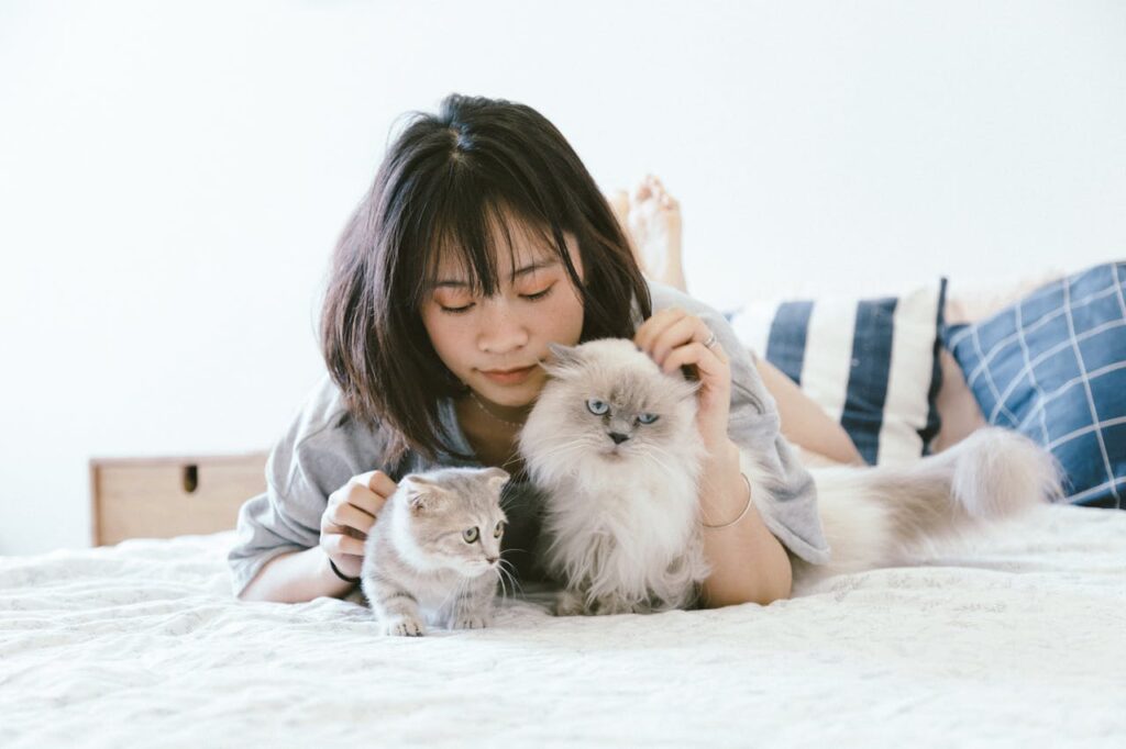 Foto de mulher deitada na cama com dois gatos filhotes