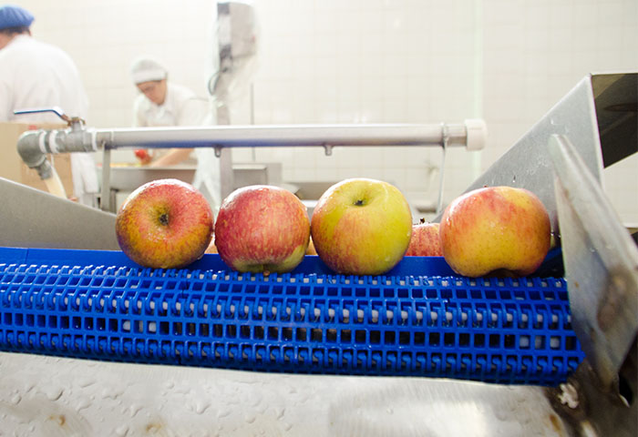 Frutas frescas em esteira automatizada no processo de higienização da Risotolândia, garantindo qualidade e segurança.