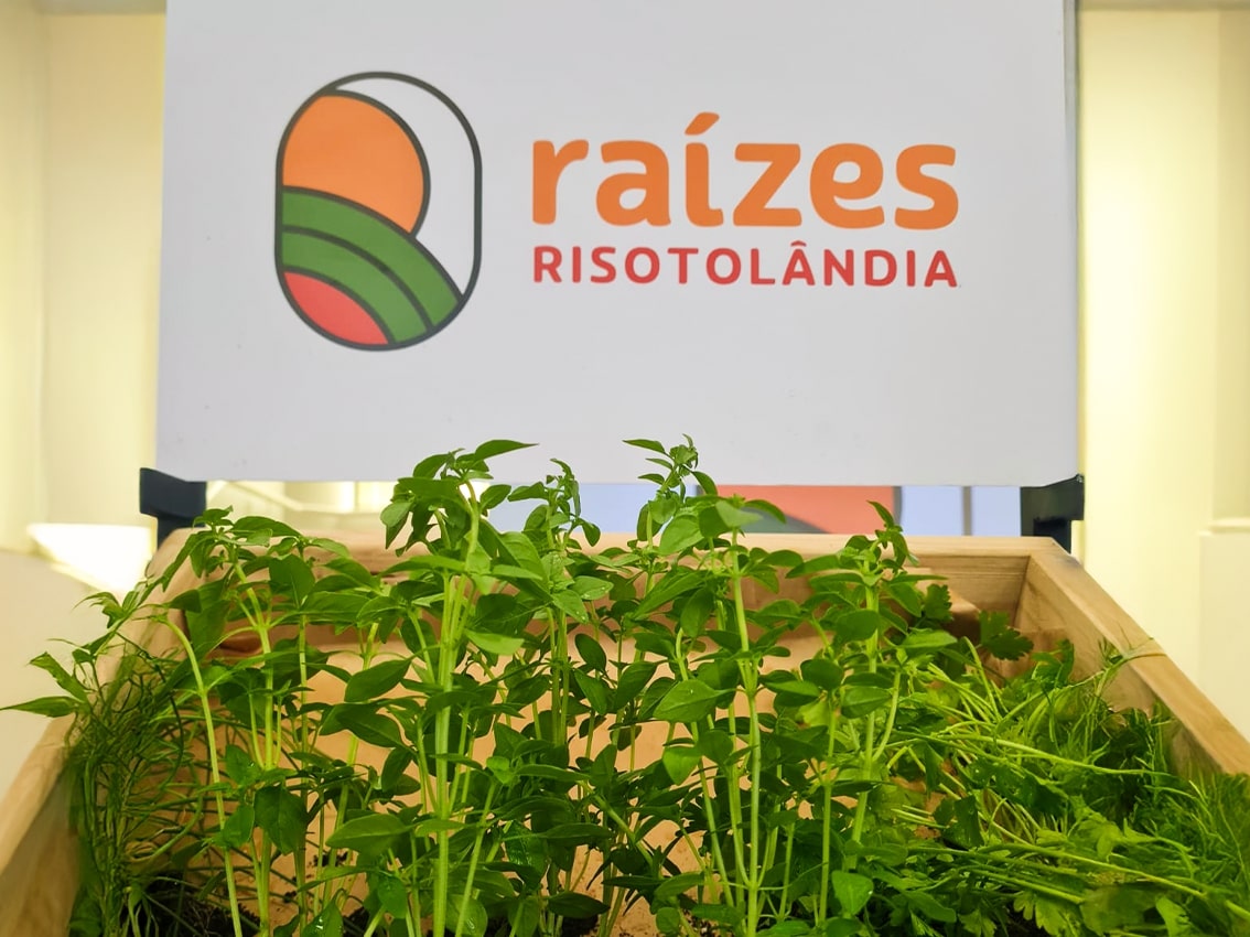 Risotolândia vence Prêmio Ser Humano 2025 com o Projeto Raízes